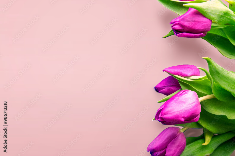 Tongue fresh tulips usually considered as innocence flowers and are an extremely pleasant surprise when we give them just without a chance. On wooden background. Tulips on old boards, spring concept. Tongue fresh tulips usually considered as innocence flowers and are an extremely pleasant surprise when we give them just without a chance. On wooden background. Tulips on old boards, spring concept.