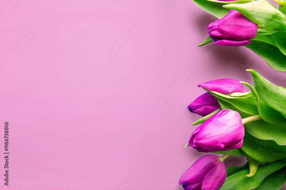 Fototapeta premium Tongue fresh tulips usually considered as innocence flowers and are an extremely pleasant surprise when we give them just without a chance. On wooden background. Tulips on old boards, spring concept. 