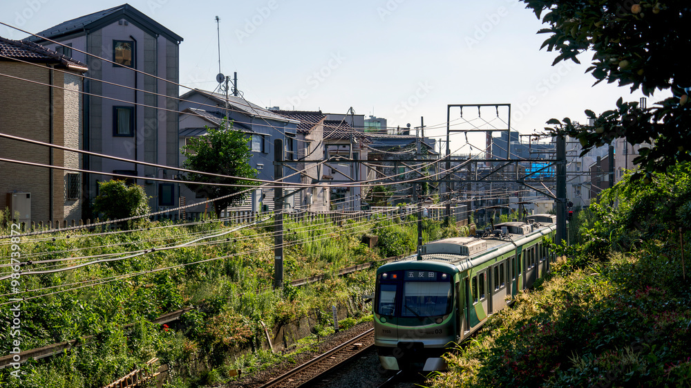 Naklejka premium 切通しを走る電車