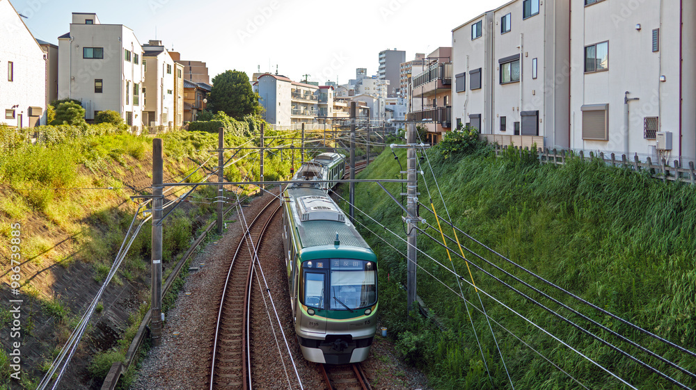 Naklejka premium 切通を走る電車
