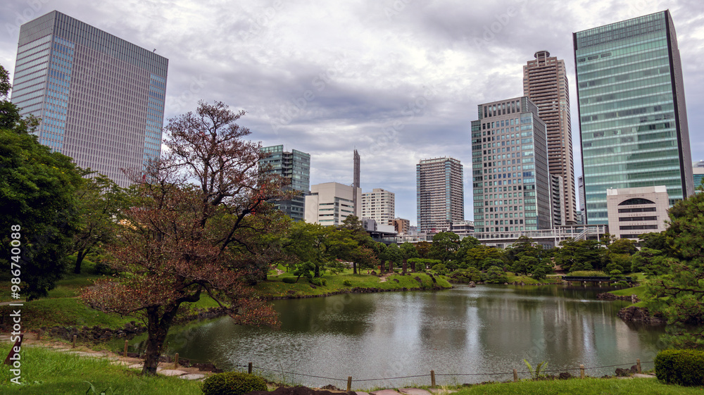 Fototapeta premium 都会の中にある日本庭園