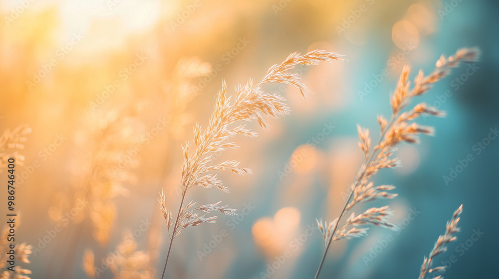 Wild Grass Silhouetted Against Soft Golden Sunset – Dreamy Nature Landscape with Vintage Tones
