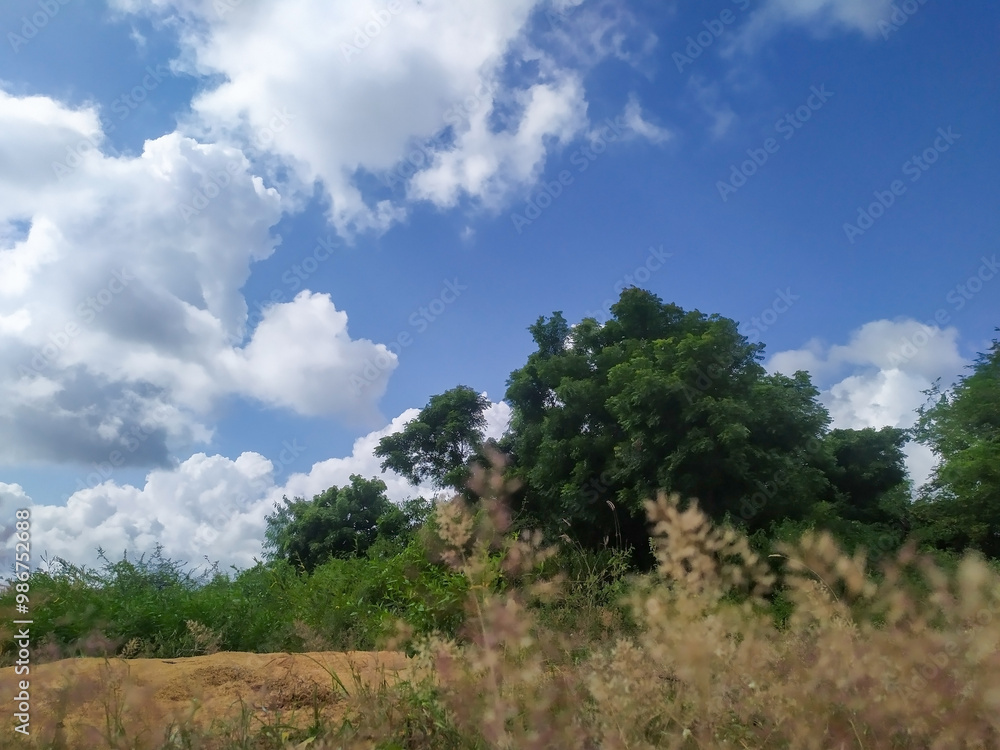 Vibrant Summer Sky Over Lush Countryside Vibrant Summer Sky Over Lush Countryside