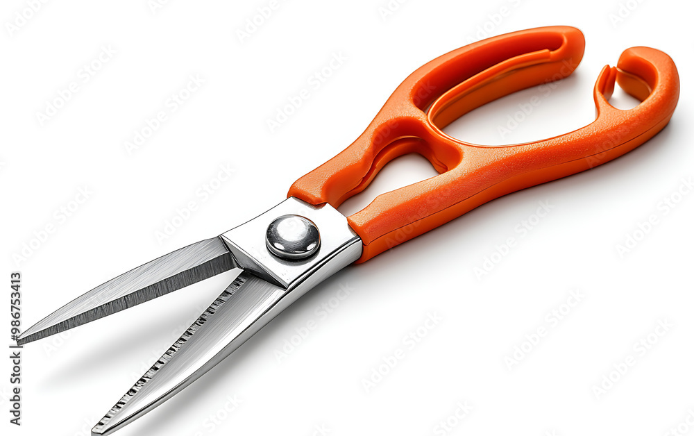 Garden Scissors Illustration: Isolated on White Background Garden Scissors Illustration: Isolated on White Background