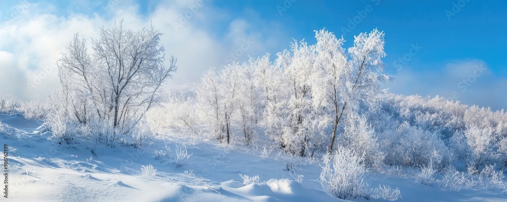 A serene winter landscape, featuring frosted trees under a bright blue sky, creating a picturesque snowy scene. A serene winter landscape, featuring frosted trees under a bright blue sky, creating a picturesque snowy scene.