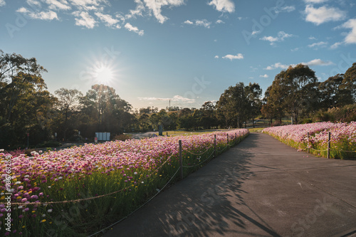 Canvas Print The Australian Botanic Garden, Mount Annan is the Australian native plant garden