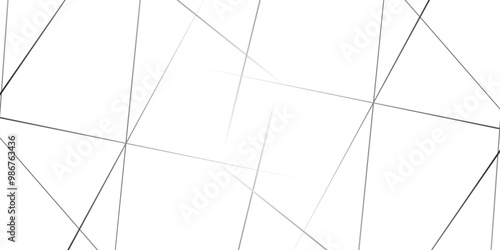 Random lines background. Abstract stripes or Geometric pattern. Metal grid isolated on the white background. nervures de Feuillet mores, fond rectangle and geometric.