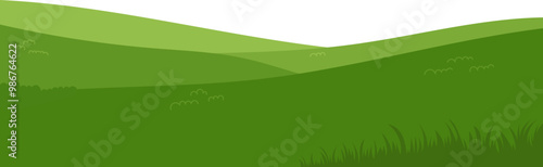 green grass background