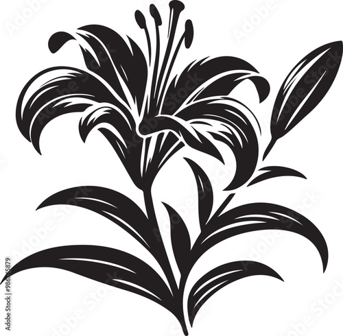 Lily flower silhouette vector illustration