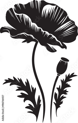 Poppy flower silhouette vector illustration