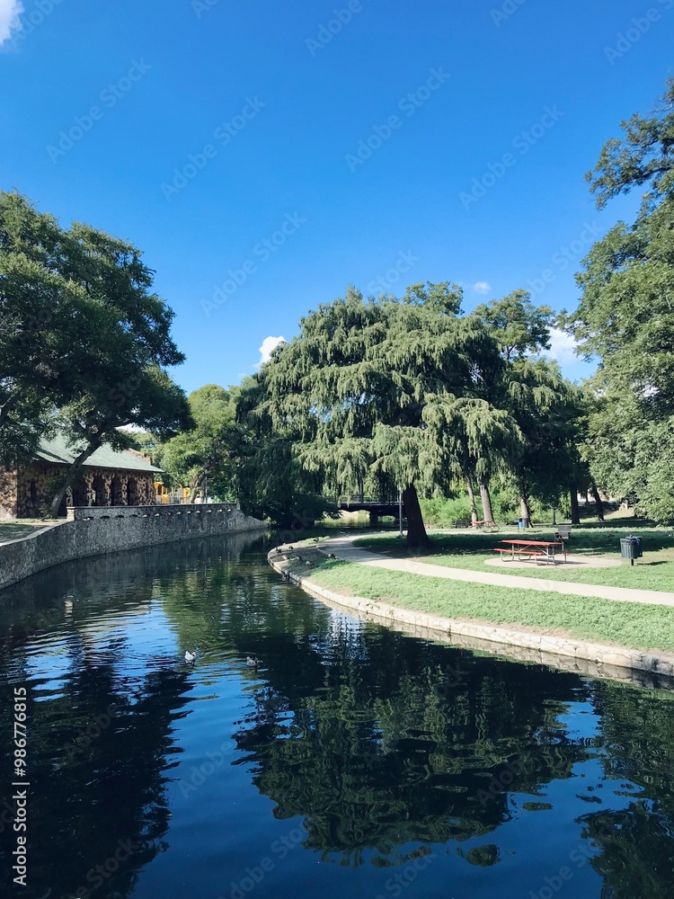 Fototapeta premium River in the city park