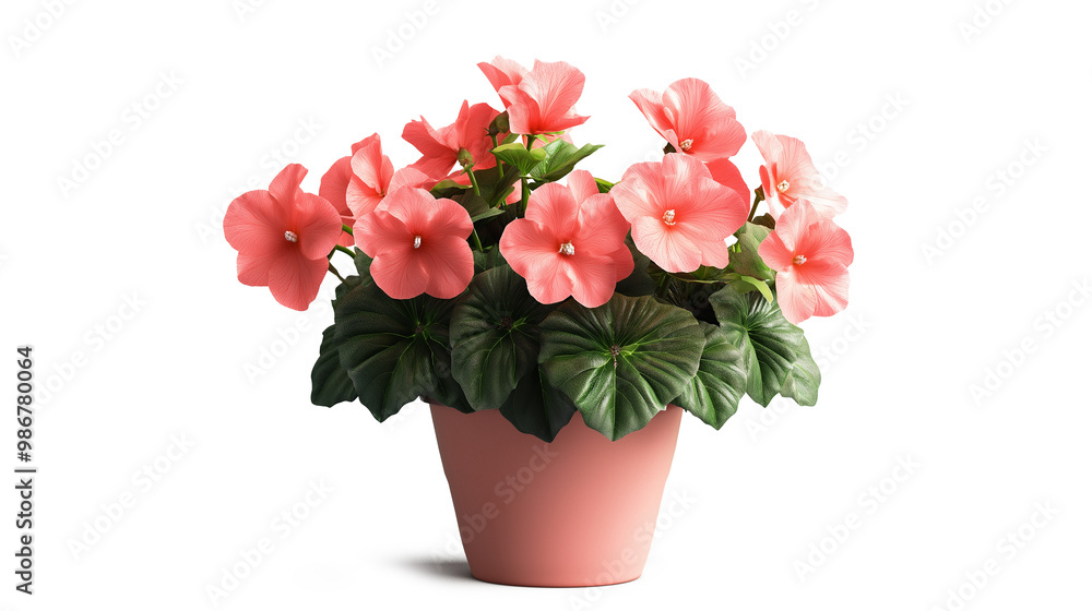 A pink flower pot with pink flowers in it. The flowers are in a pink color and are arranged in a way that they look like they are blooming. The pot is placed on a white background A pink flower pot with pink flowers in it. The flowers are in a pink color and are arranged in a way that they look like they are blooming. The pot is placed on a white background