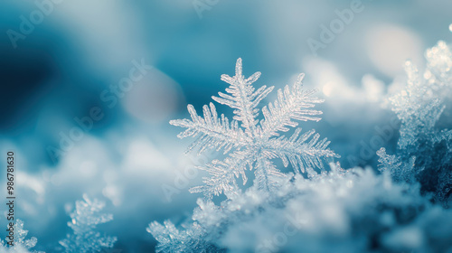 Delicate snowflakes glisten on frost covered surfaces, creating serene winter scene. intricate patterns and shimmering details evoke sense of tranquility and beauty