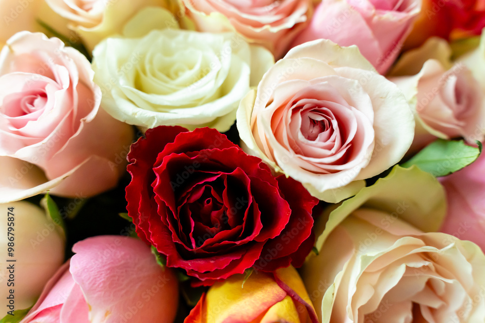 floral backdrop composed of a diverse array of rose blooms, ranging from vivid reds and pinks to delicate pastels. floral backdrop composed of a diverse array of rose blooms, ranging from vivid reds and pinks to delicate pastels.