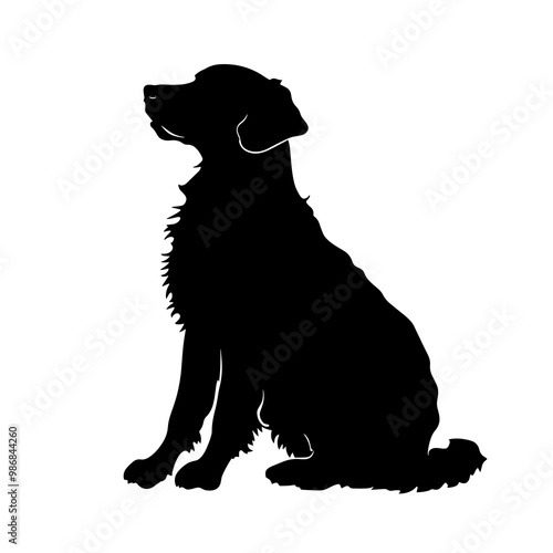 vector silhouette of a Curly-Coated Retriever