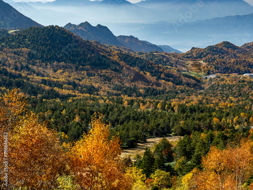 志賀高原の美しい紅葉の風景