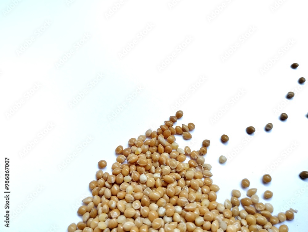 millet seeds on a white background. Millet seeds come from the millet plant, a type of cereal that has small seeds and is classified as a grass plant. millet seeds on a white background. Millet seeds come from the millet plant, a type of cereal that has small seeds and is classified as a grass plant.