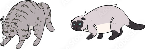 pack of cats who are in a position ready to fight