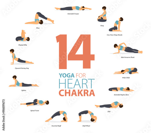 14 Yoga poses or asana posture for workout in Heart Chakra concept. Women exercising for body stretching. Fitness infographic. Flat cartoon vector.