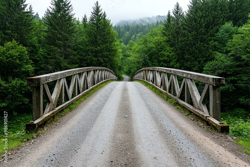 A serene forest scene featuring a wooden bridge over a gravel road, flanked by lush green trees and misty mountains in the background. photo