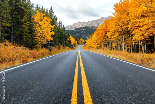 A serene autumn road lined with vibrant orange and yellow trees, leading towards distant mountains under a cloudy sky.