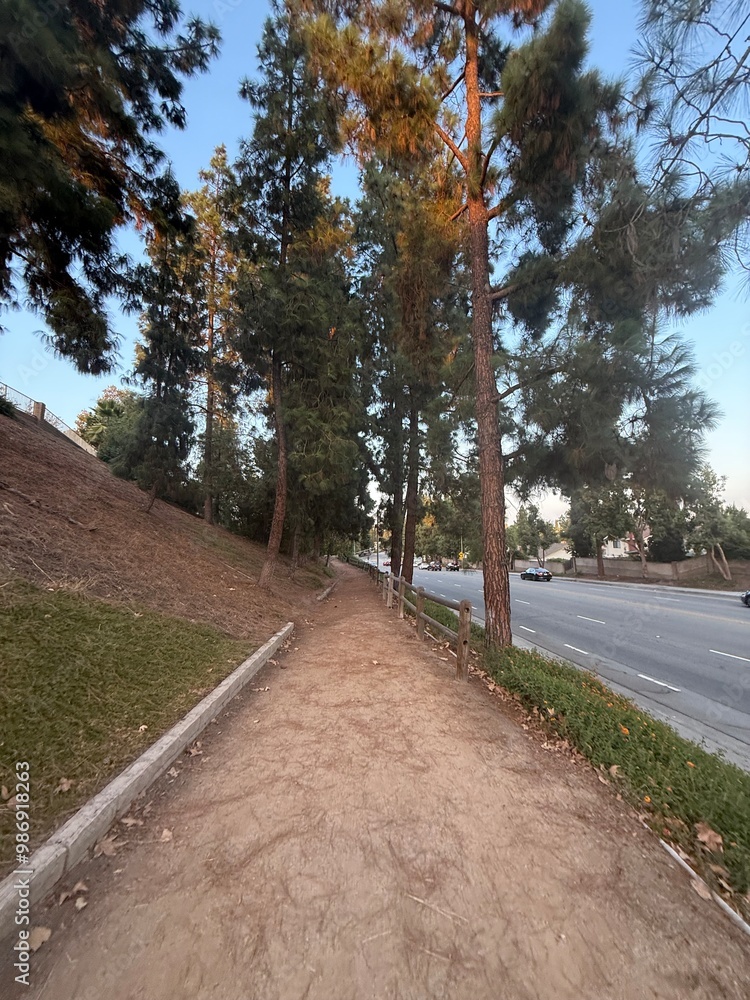 Obraz premium path in the park