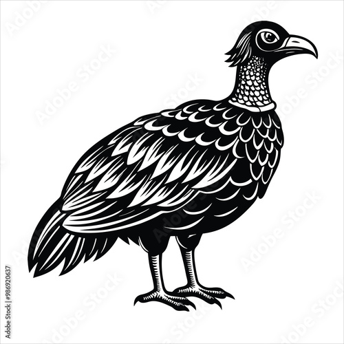 Megapode Bird, Whit and Black , Illustrator, Image, Whit Background