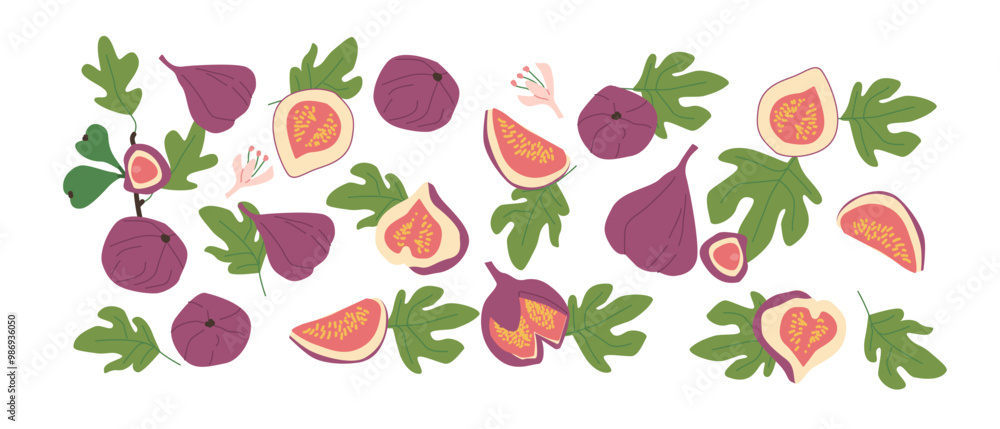 Hand drawn abstract fruit fig plant set. Whole fruit, slices, pieces and leaves, flowers. Can used for posters, labels, patterns. Hand drawn abstract fruit fig plant set. Whole fruit, slices, pieces and leaves, flowers. Can used for posters, labels, patterns.