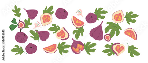 Hand drawn abstract fruit fig plant set. Whole fruit, slices, pieces and leaves, flowers. Can used for posters, labels, patterns.
