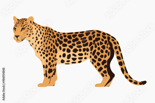 Leopard illustration, spotted feline