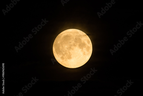Beautiful bright and vivid landscape or background of large fool shiny romantic or horror Moon with craters in cloudy night sky 