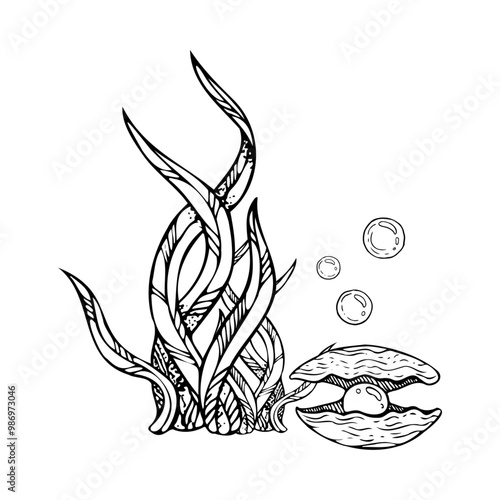 Black and white mussel seashell with pearl and long laminaria seaweed vector illustration. Hand drawn monochrome seabed with air bubbles for underwater and marine designs