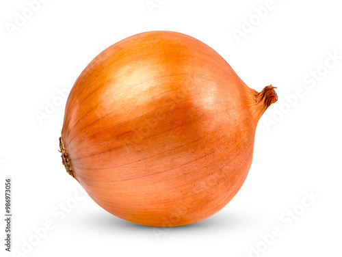 Onion bulbs isolated on transparent png