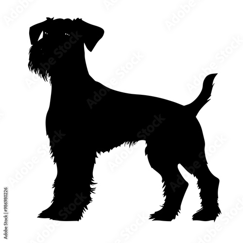 silhouette of a irish terrier