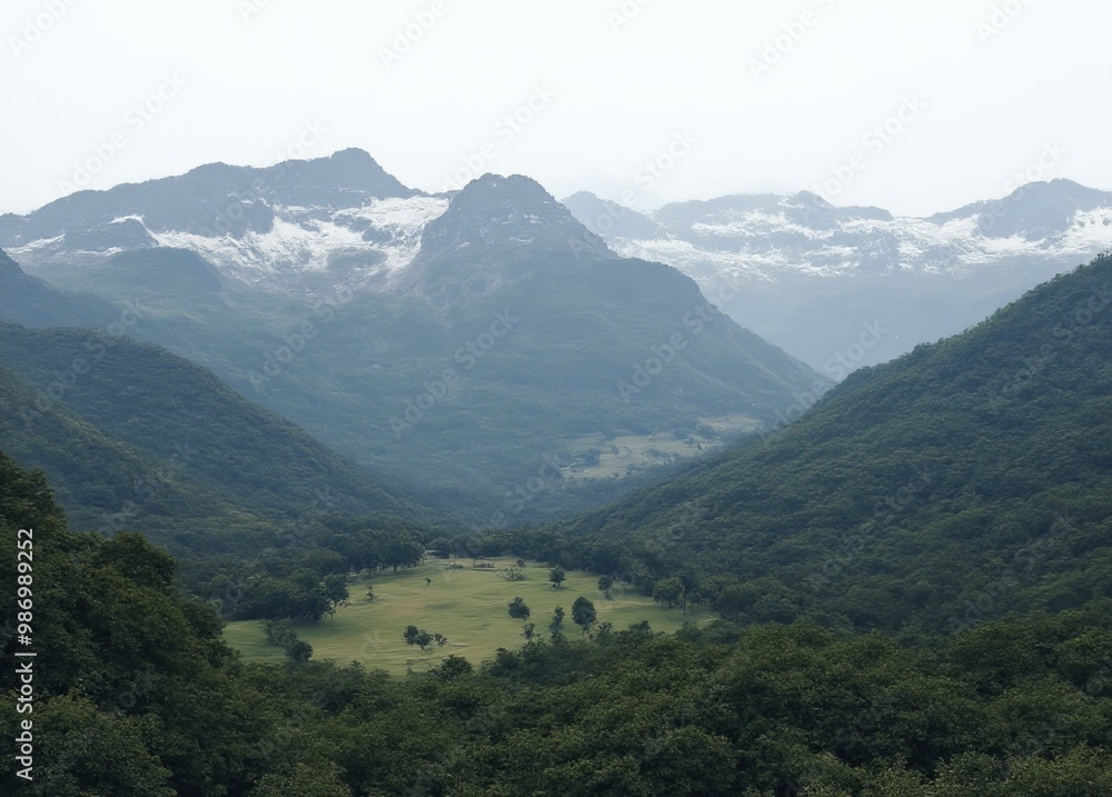 Fototapeta premium Cordillera Blanca at Midday with Vivid Green and White Tones