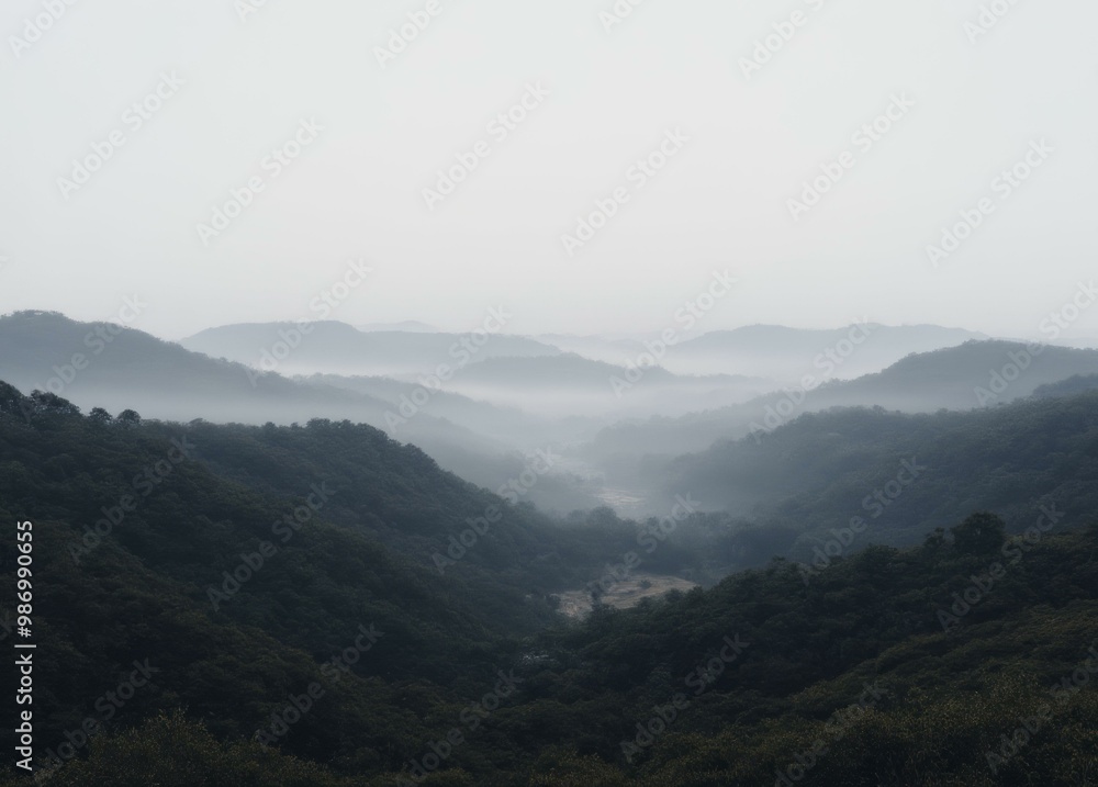 Misty Morning in the Blue Mountains at Early Sunrise Misty Morning in the Blue Mountains at Early Sunrise
