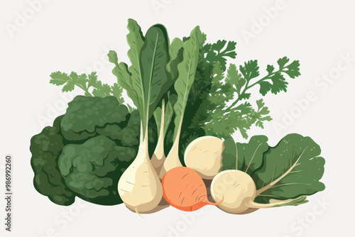 Fresh organic root vegetables illustration