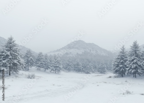 Snowy Morning at Mount Mitchell photo