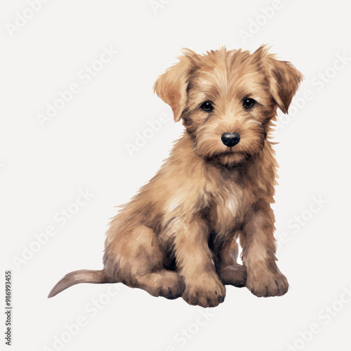 Adorable fluffy puppy portrait