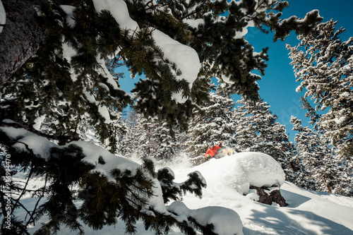 Skier at Monarch Mountain resort skiing powder