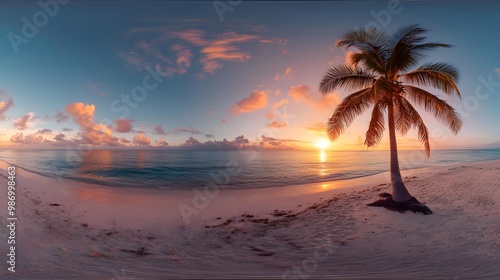 Tropical island with a palm tree at sunset, shown as a 360-degree HDRI panorama.