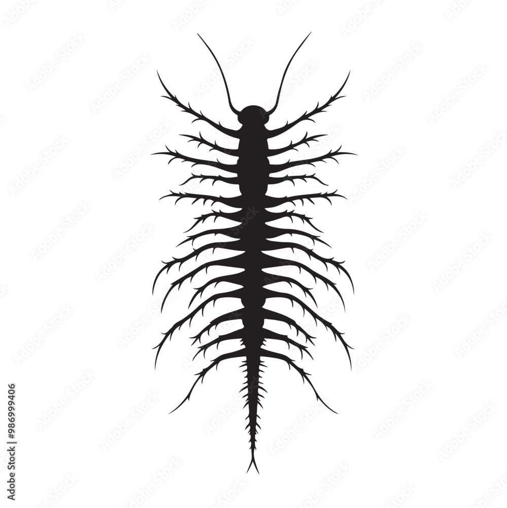 Centipede silhouette vector, insect illustration Stock Vector isolated on white background Centipede silhouette vector, insect illustration Stock Vector isolated on white background