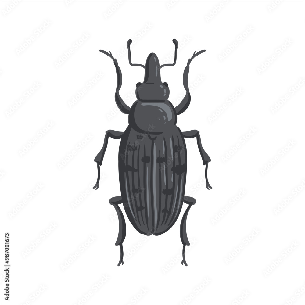 vector drawing snout beetle, true weevil isolated at white background, garden pest, hand drawn illustration vector drawing snout beetle, true weevil isolated at white background, garden pest, hand drawn illustration