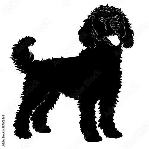 silhouette of a Spanish Water Dog