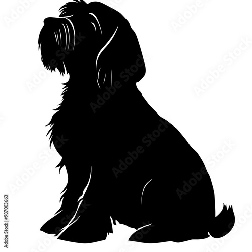 vector silhouette of a petit basset griffon photo