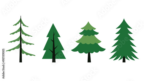 Coniferous trees set. Spruce, fir, cedar, pine. Simple flat style vector illustration. Design elements isolated on a white background for a poster, banner, textbook, infographic.