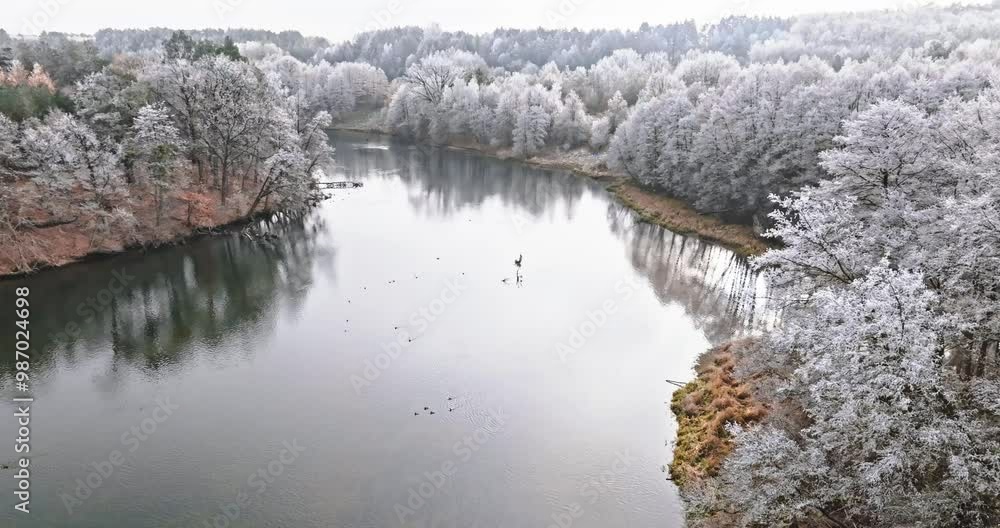 Frozen forest, rime and river in early winter, Poland. Frozen forest, rime and river in early winter, Poland.