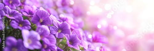  A sunlit window frames a vibrant cluster of purpling blooming flowers