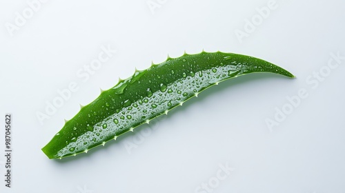 Close-up of a fresh green aloe vera leaf with water droplets on a white background, showcasing its natural and moisturizing properties. photo