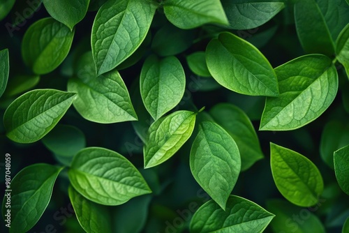 Enlivening green closeups to use as backgrounds, wallpaper or textured pics to inspire growth and connections , ai